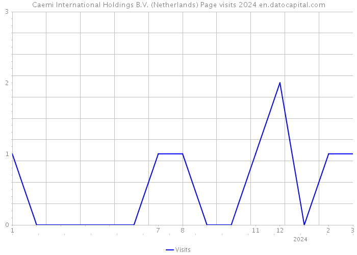 Caemi International Holdings B.V. (Netherlands) Page visits 2024 