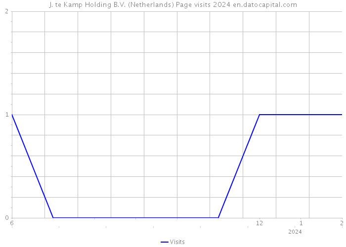 J. te Kamp Holding B.V. (Netherlands) Page visits 2024 