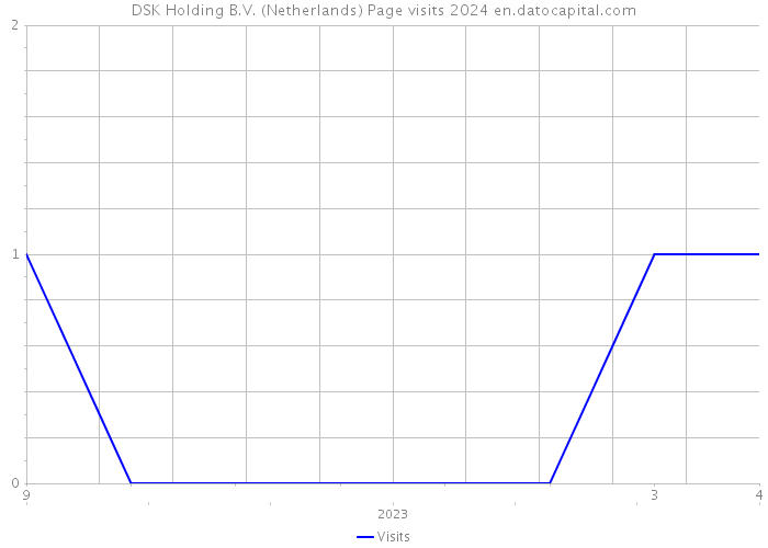 DSK Holding B.V. (Netherlands) Page visits 2024 