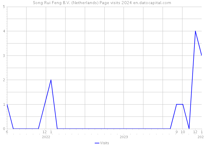 Song Rui Feng B.V. (Netherlands) Page visits 2024 