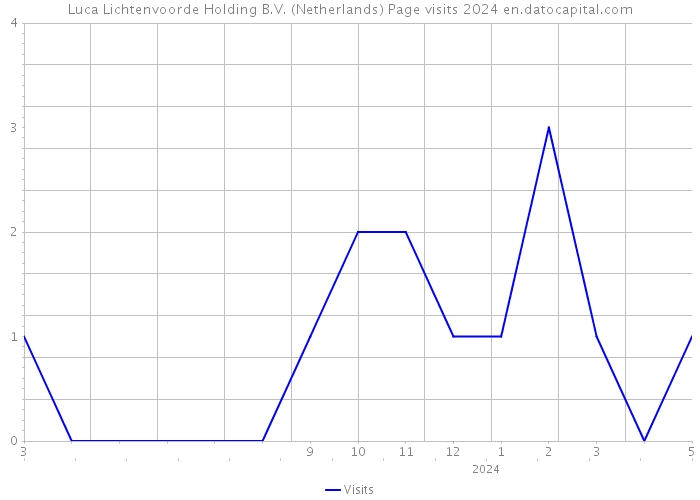 Luca Lichtenvoorde Holding B.V. (Netherlands) Page visits 2024 