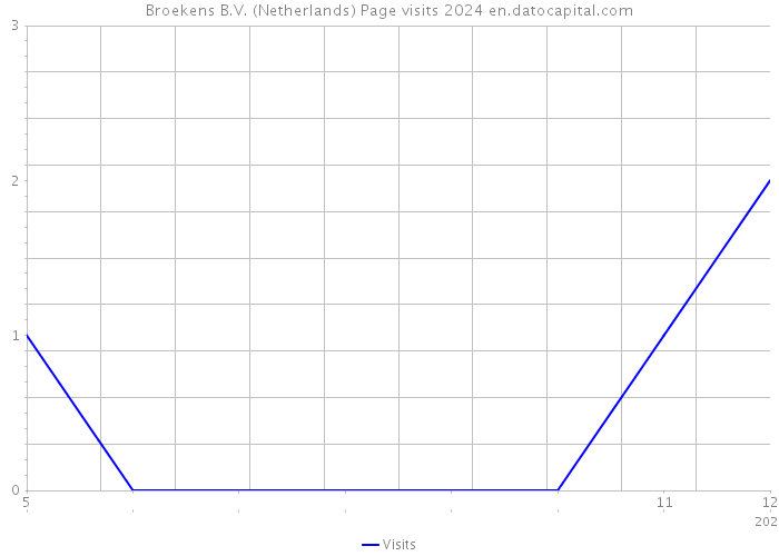 Broekens B.V. (Netherlands) Page visits 2024 