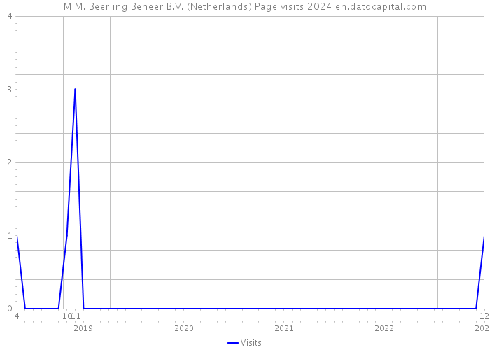 M.M. Beerling Beheer B.V. (Netherlands) Page visits 2024 