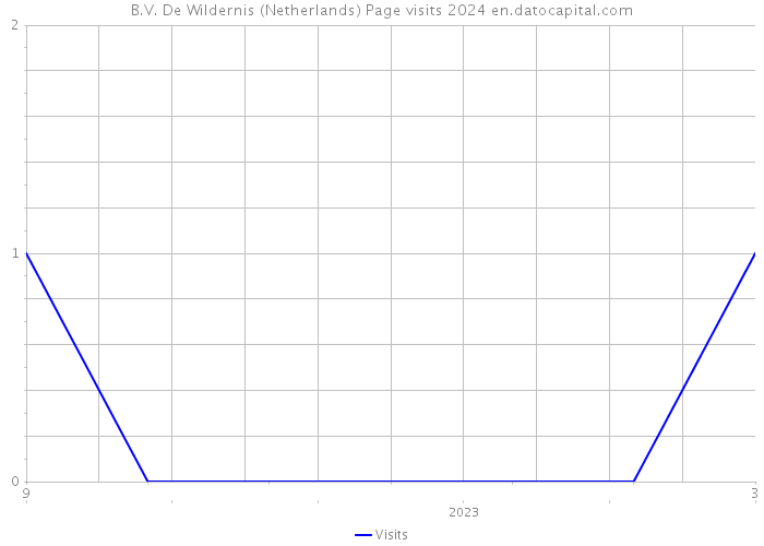 B.V. De Wildernis (Netherlands) Page visits 2024 