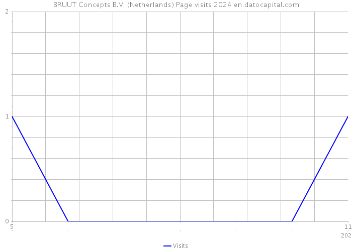 BRUUT Concepts B.V. (Netherlands) Page visits 2024 