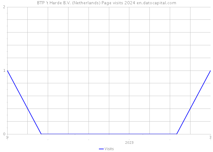 BTP 't Harde B.V. (Netherlands) Page visits 2024 