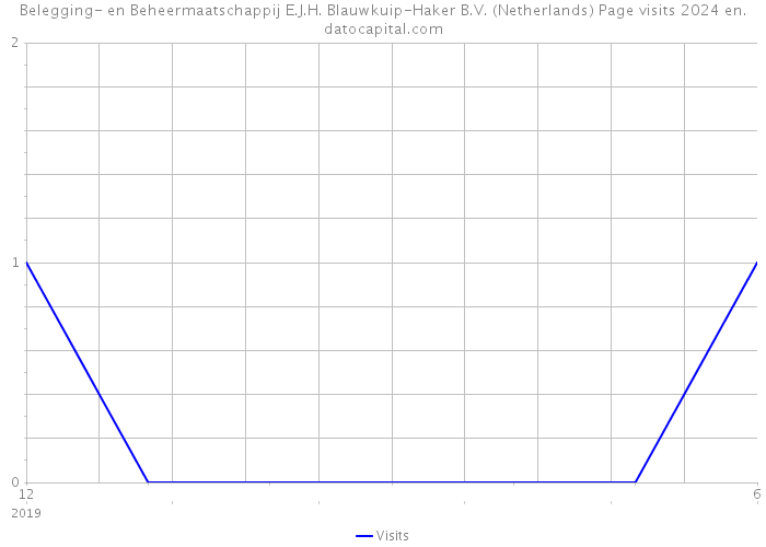 Belegging- en Beheermaatschappij E.J.H. Blauwkuip-Haker B.V. (Netherlands) Page visits 2024 