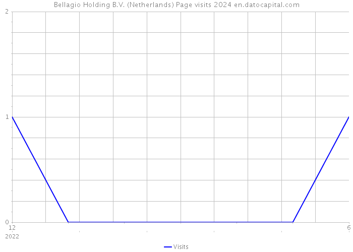 Bellagio Holding B.V. (Netherlands) Page visits 2024 