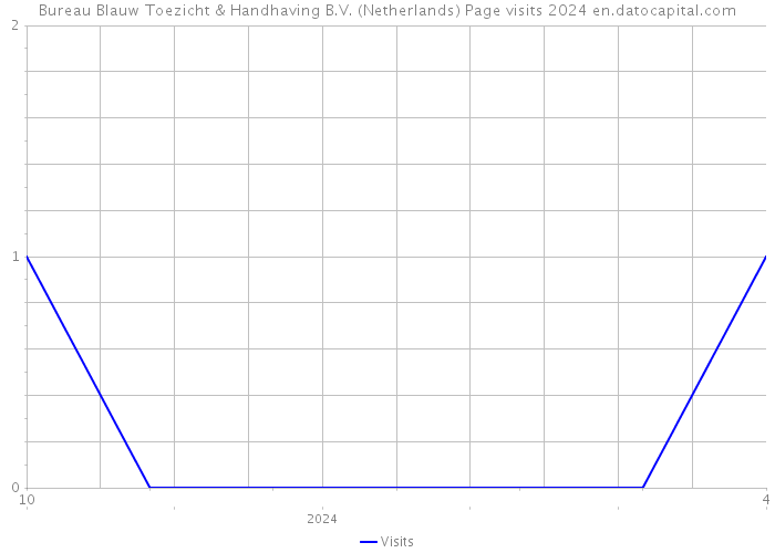 Bureau Blauw Toezicht & Handhaving B.V. (Netherlands) Page visits 2024 