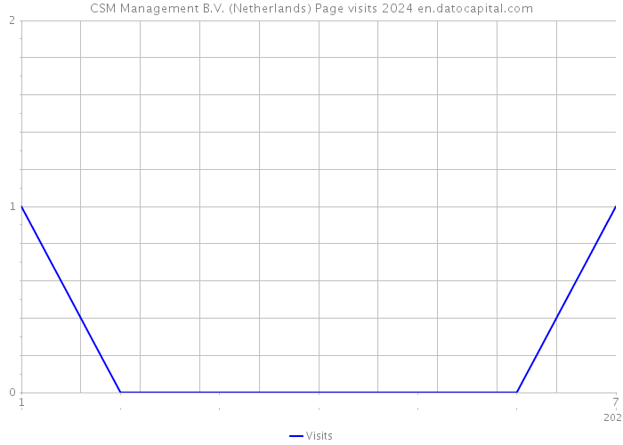 CSM Management B.V. (Netherlands) Page visits 2024 