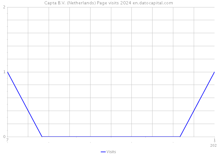 Capta B.V. (Netherlands) Page visits 2024 