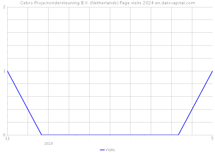 Cebro Projectondersteuning B.V. (Netherlands) Page visits 2024 