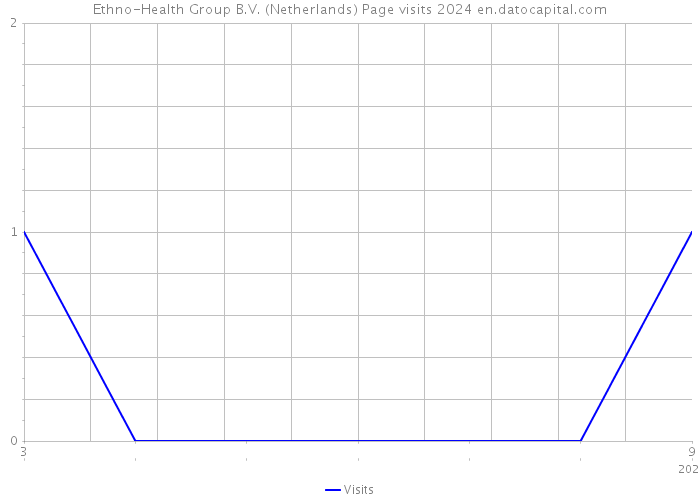 Ethno-Health Group B.V. (Netherlands) Page visits 2024 