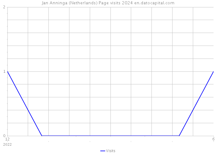 Jan Anninga (Netherlands) Page visits 2024 