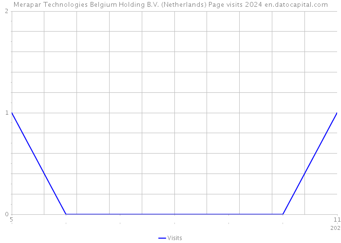 Merapar Technologies Belgium Holding B.V. (Netherlands) Page visits 2024 