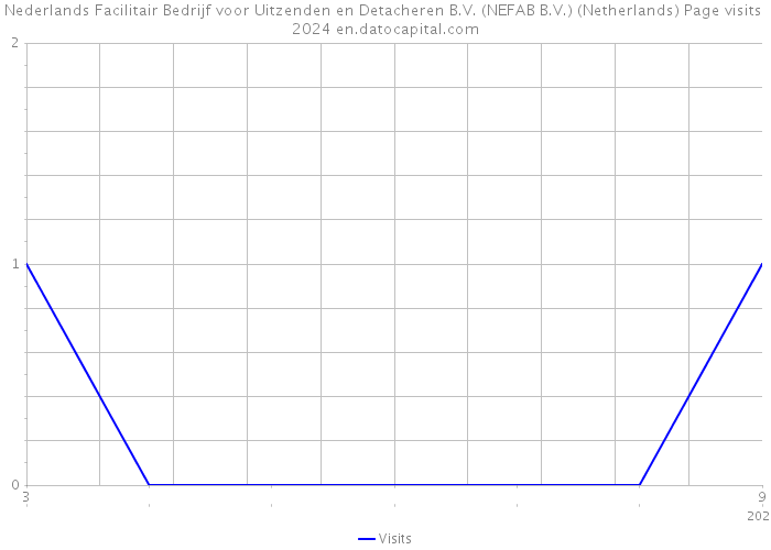 Nederlands Facilitair Bedrijf voor Uitzenden en Detacheren B.V. (NEFAB B.V.) (Netherlands) Page visits 2024 