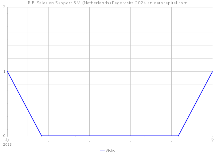 R.B. Sales en Support B.V. (Netherlands) Page visits 2024 