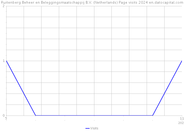 Ruitenberg Beheer en Beleggingsmaatschappij B.V. (Netherlands) Page visits 2024 