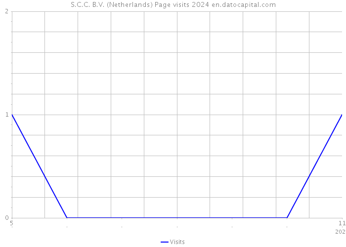 S.C.C. B.V. (Netherlands) Page visits 2024 