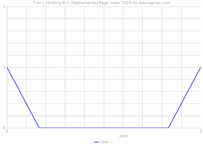 T en L Holding B.V. (Netherlands) Page visits 2024 