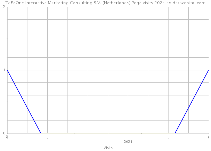 ToBeOne Interactive Marketing Consulting B.V. (Netherlands) Page visits 2024 