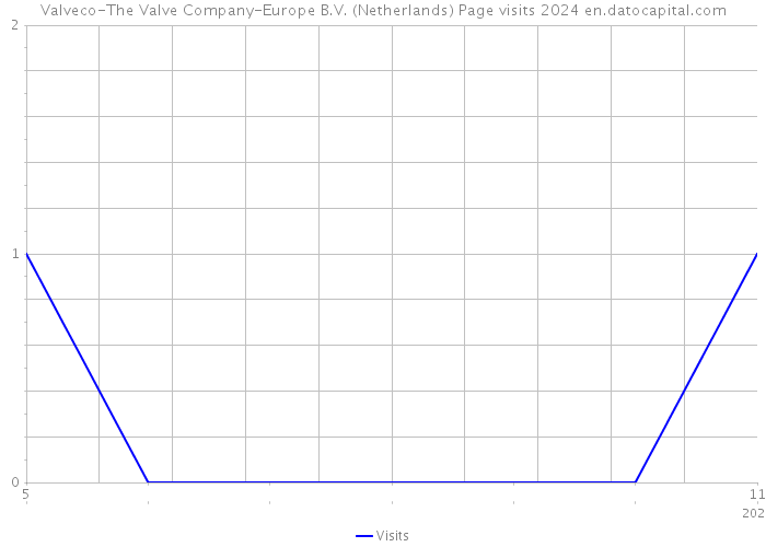 Valveco-The Valve Company-Europe B.V. (Netherlands) Page visits 2024 