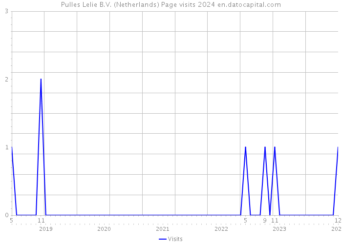 Pulles Lelie B.V. (Netherlands) Page visits 2024 