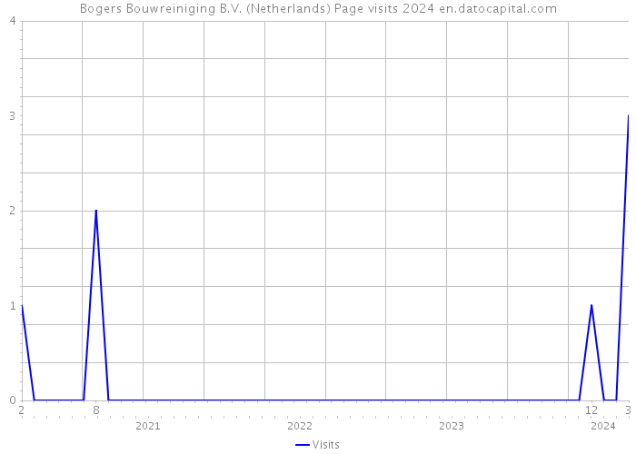 Bogers Bouwreiniging B.V. (Netherlands) Page visits 2024 