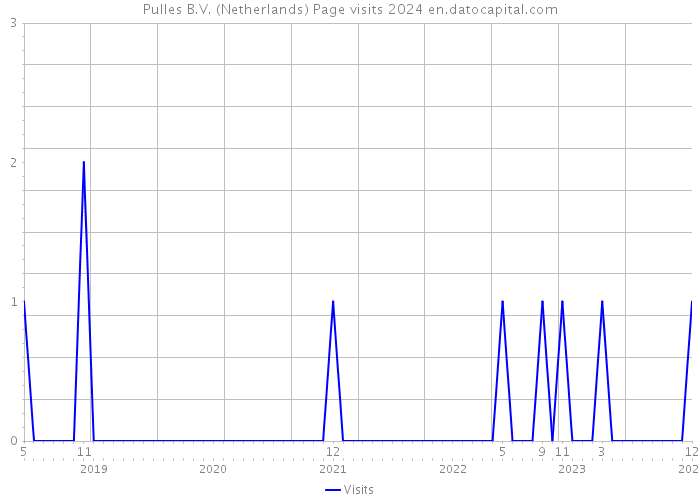 Pulles B.V. (Netherlands) Page visits 2024 