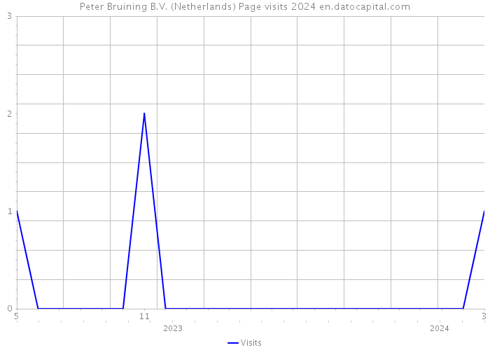 Peter Bruining B.V. (Netherlands) Page visits 2024 