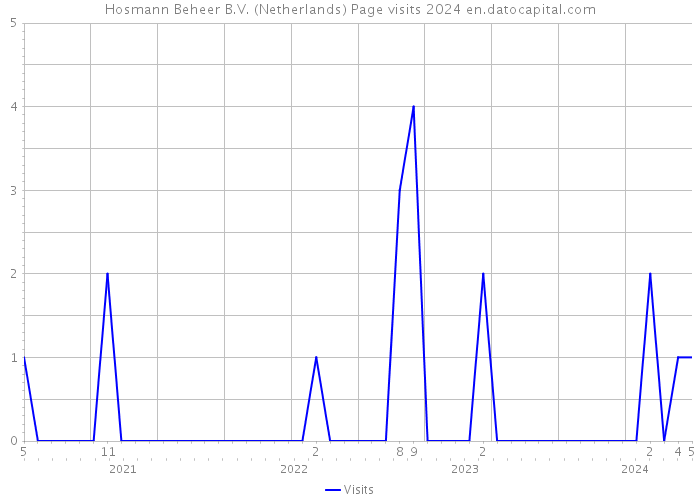 Hosmann Beheer B.V. (Netherlands) Page visits 2024 