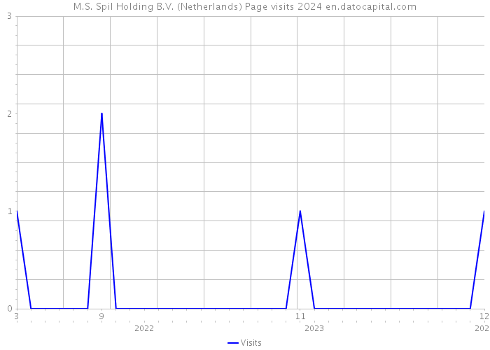 M.S. Spil Holding B.V. (Netherlands) Page visits 2024 