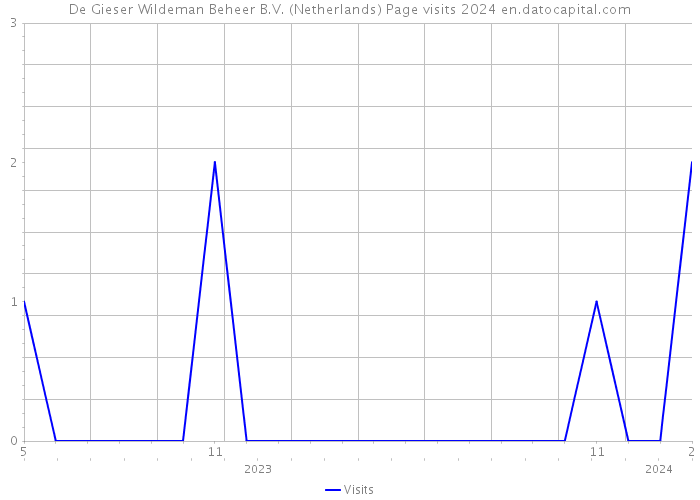 De Gieser Wildeman Beheer B.V. (Netherlands) Page visits 2024 