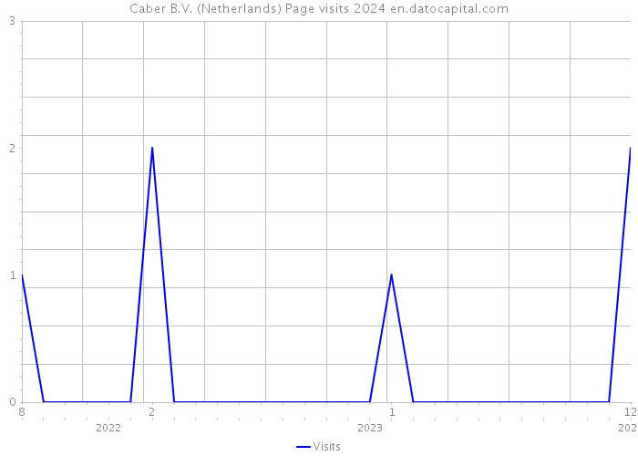 Caber B.V. (Netherlands) Page visits 2024 