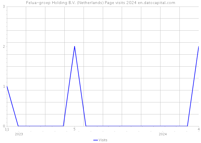 Felua-groep Holding B.V. (Netherlands) Page visits 2024 