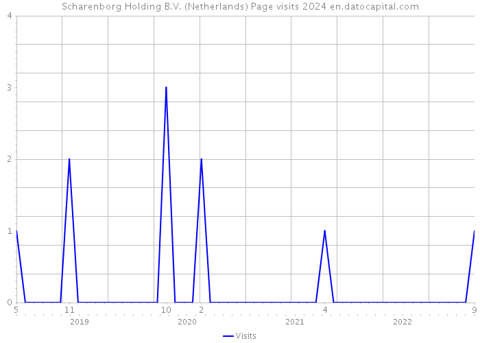 Scharenborg Holding B.V. (Netherlands) Page visits 2024 