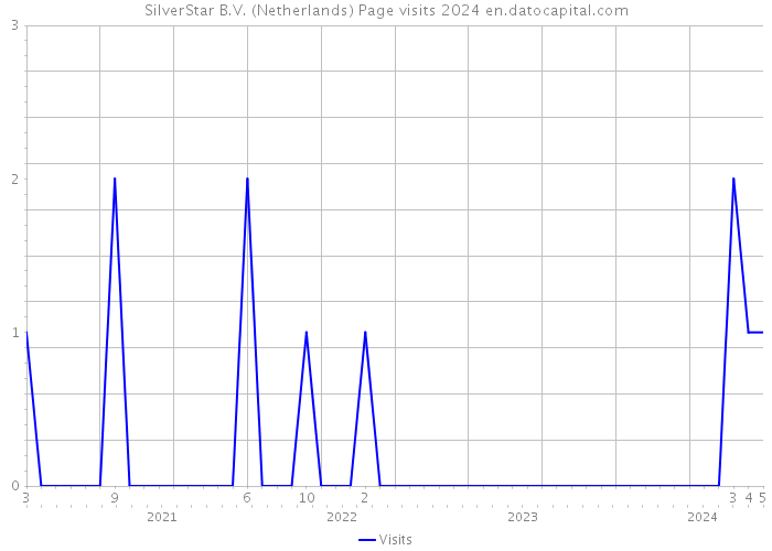 SilverStar B.V. (Netherlands) Page visits 2024 