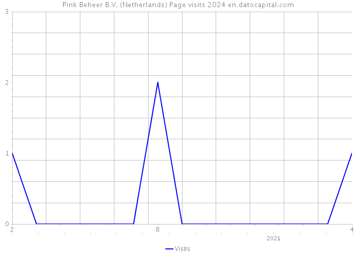 Pink Beheer B.V. (Netherlands) Page visits 2024 