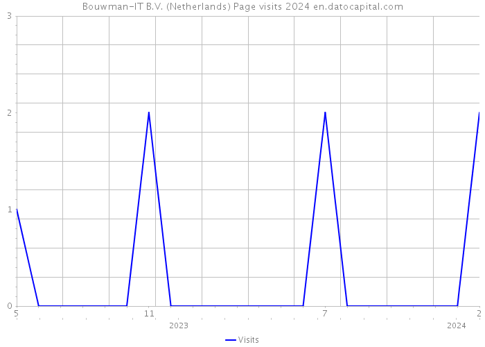 Bouwman-IT B.V. (Netherlands) Page visits 2024 