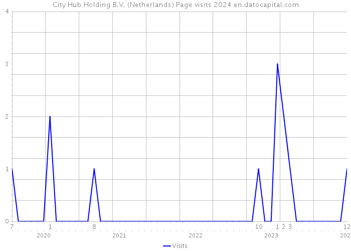 City Hub Holding B.V. (Netherlands) Page visits 2024 