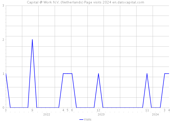 Capital @ Work N.V. (Netherlands) Page visits 2024 