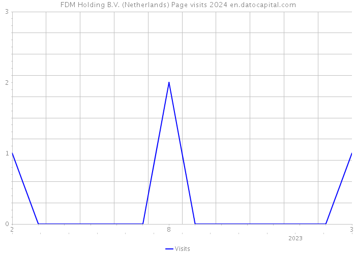 FDM Holding B.V. (Netherlands) Page visits 2024 