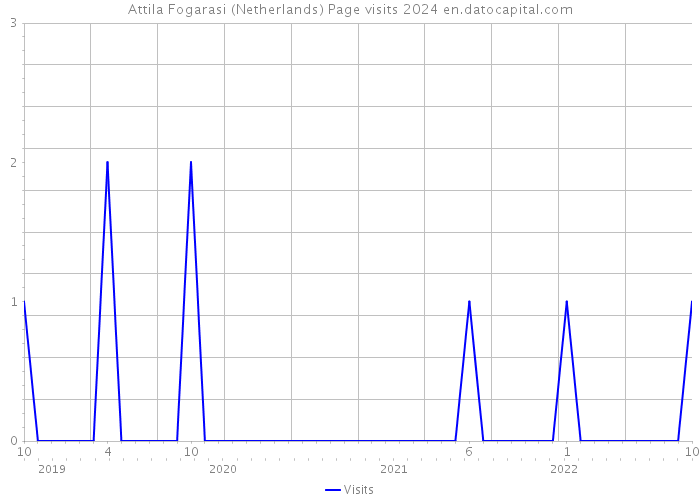Attila Fogarasi (Netherlands) Page visits 2024 
