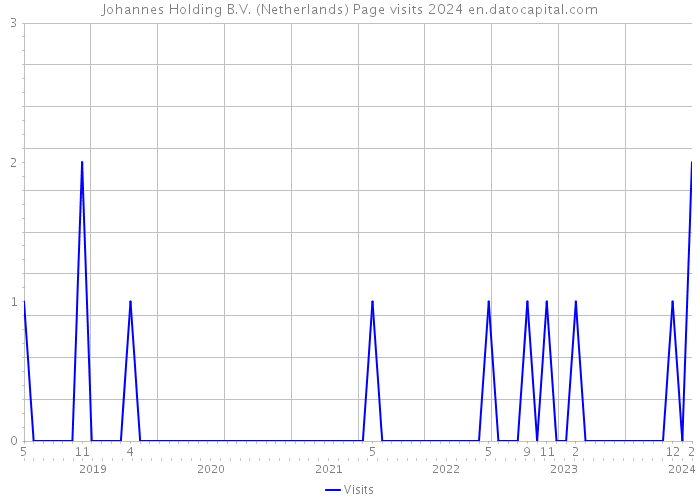 Johannes Holding B.V. (Netherlands) Page visits 2024 
