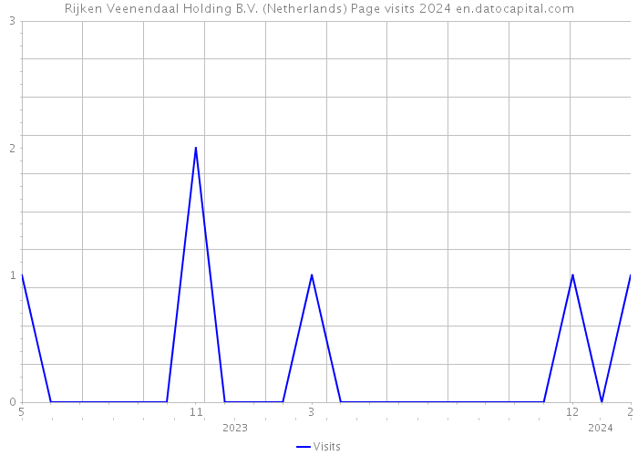 Rijken Veenendaal Holding B.V. (Netherlands) Page visits 2024 