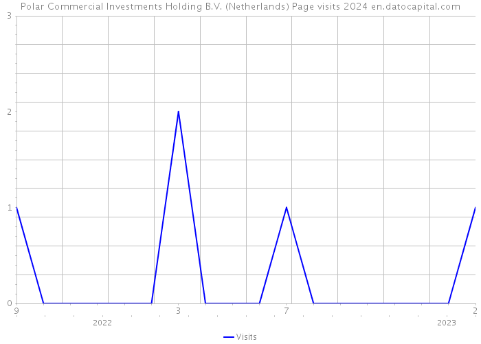 Polar Commercial Investments Holding B.V. (Netherlands) Page visits 2024 