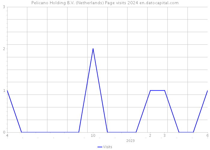 Pelicano Holding B.V. (Netherlands) Page visits 2024 
