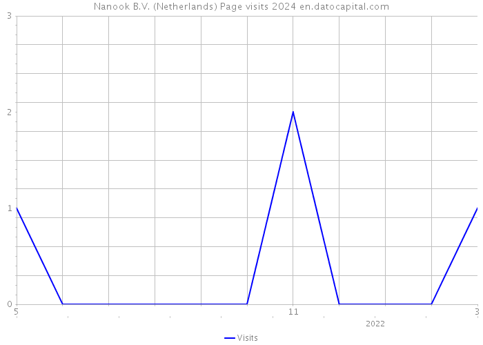 Nanook B.V. (Netherlands) Page visits 2024 