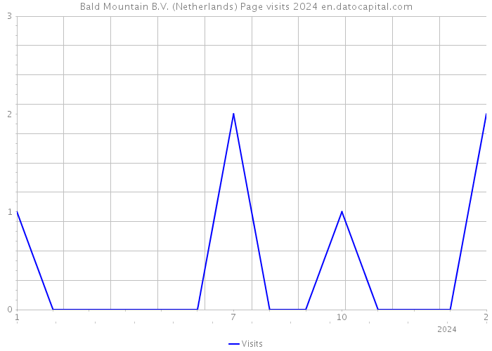 Bald Mountain B.V. (Netherlands) Page visits 2024 