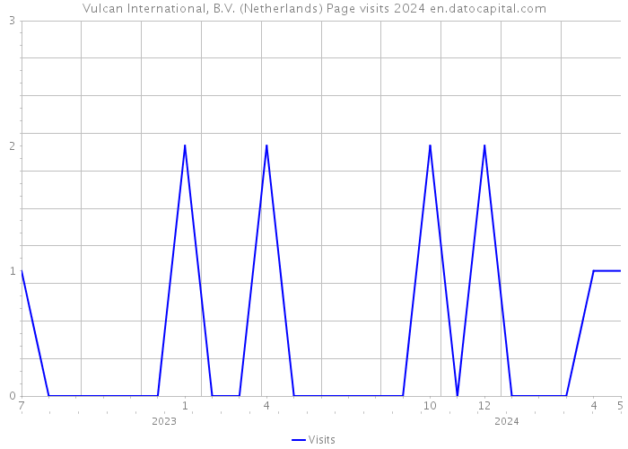 Vulcan International, B.V. (Netherlands) Page visits 2024 
